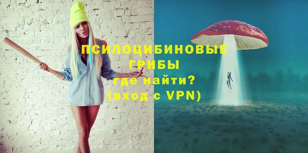 гидра Каменск-Шахтинский